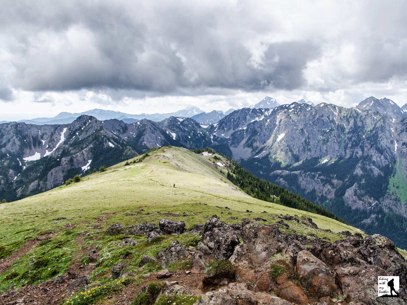 Mount Townsend Trail 839 Hiking with my Brother