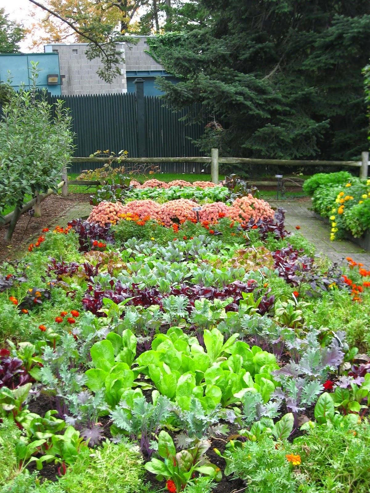 All About Women's Things: Vegetable Gardening - A Hobby for Everyone