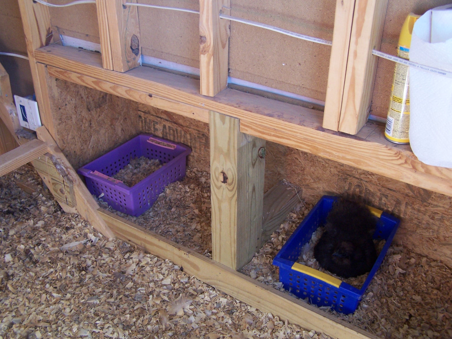 My Chicken Farmhouse Community Chickens