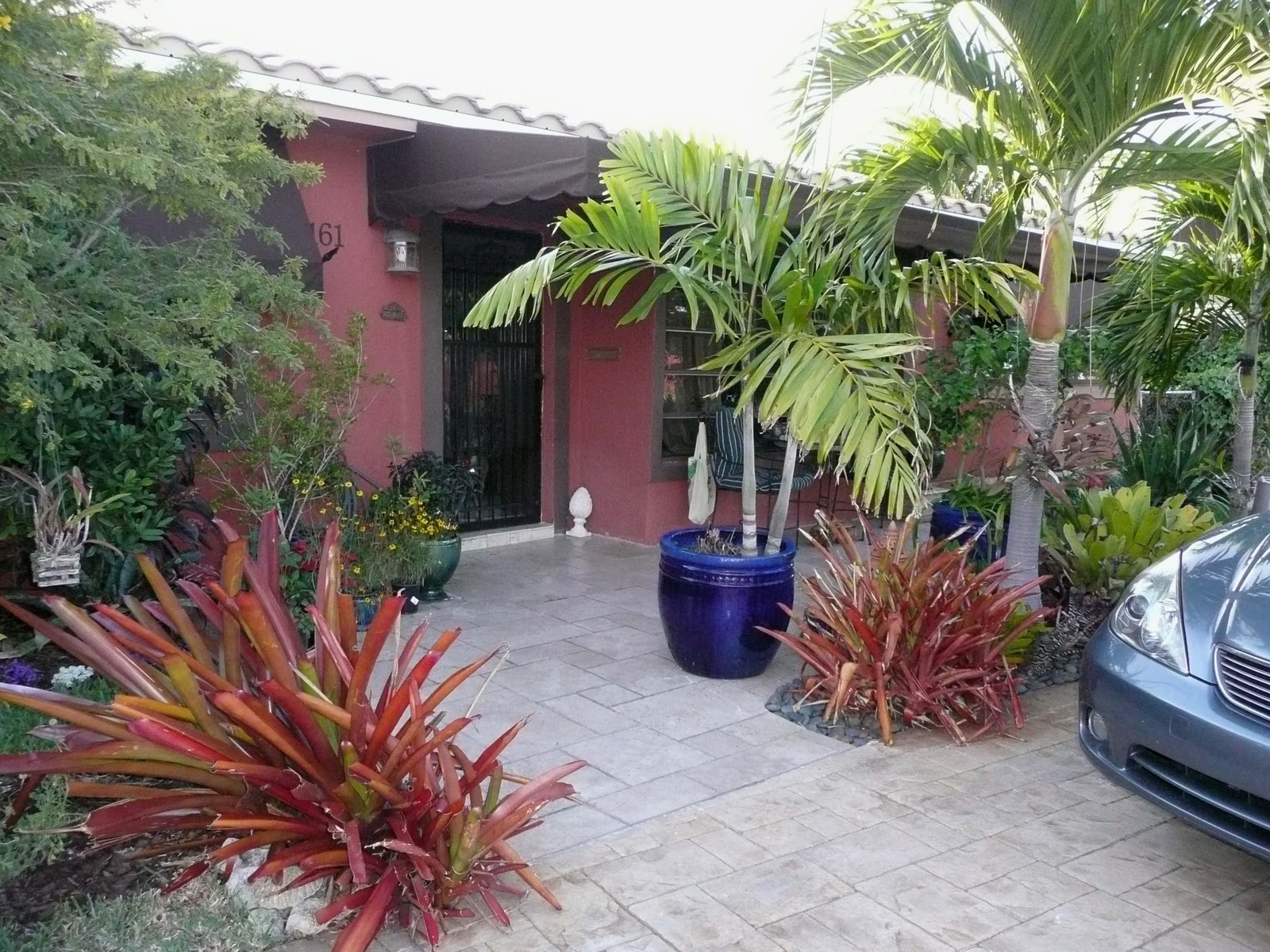 Gardening South Florida Style Bromeliads In The Garden Gardening South Florida Style Bromeliads In The Garden