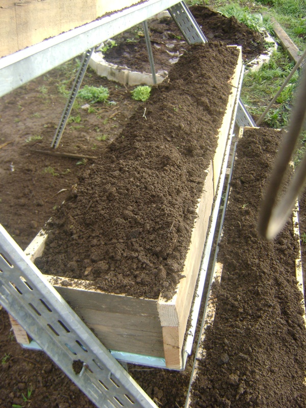 EL SEXAGENARIO: FRESAS