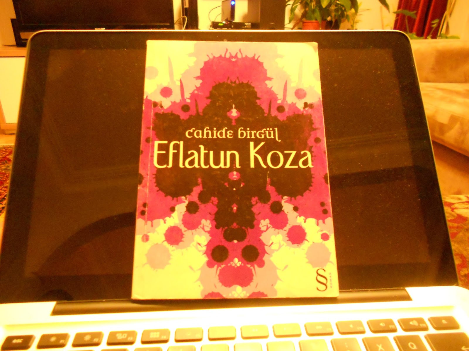 Golgeler Cekildiginde Cahide Birgul Nadir Kitap