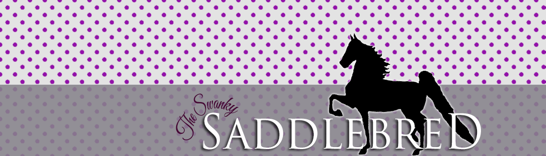 The Swanky Saddlebred