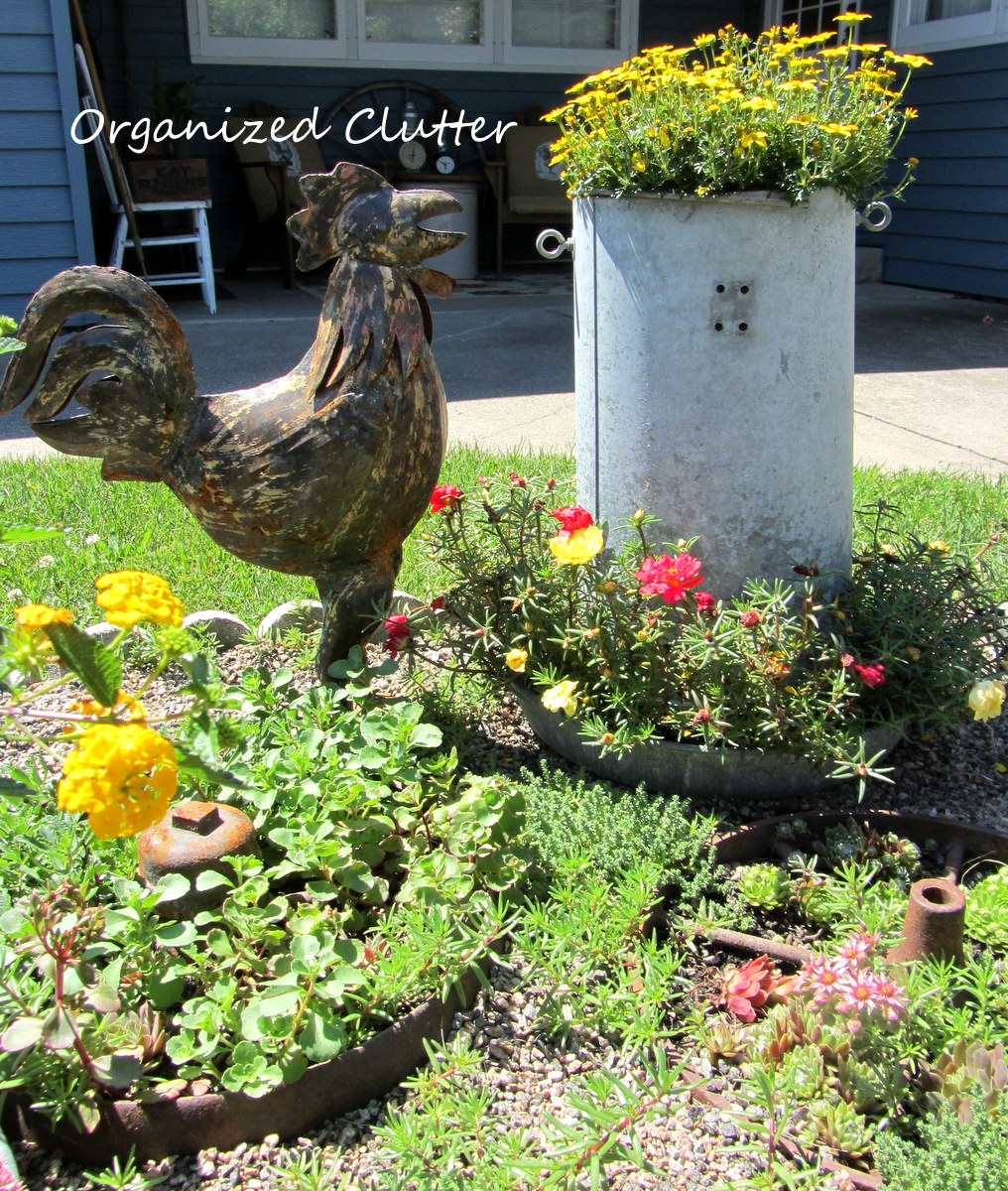 Garden Hens and Chicks and Roosters Organized Clutter