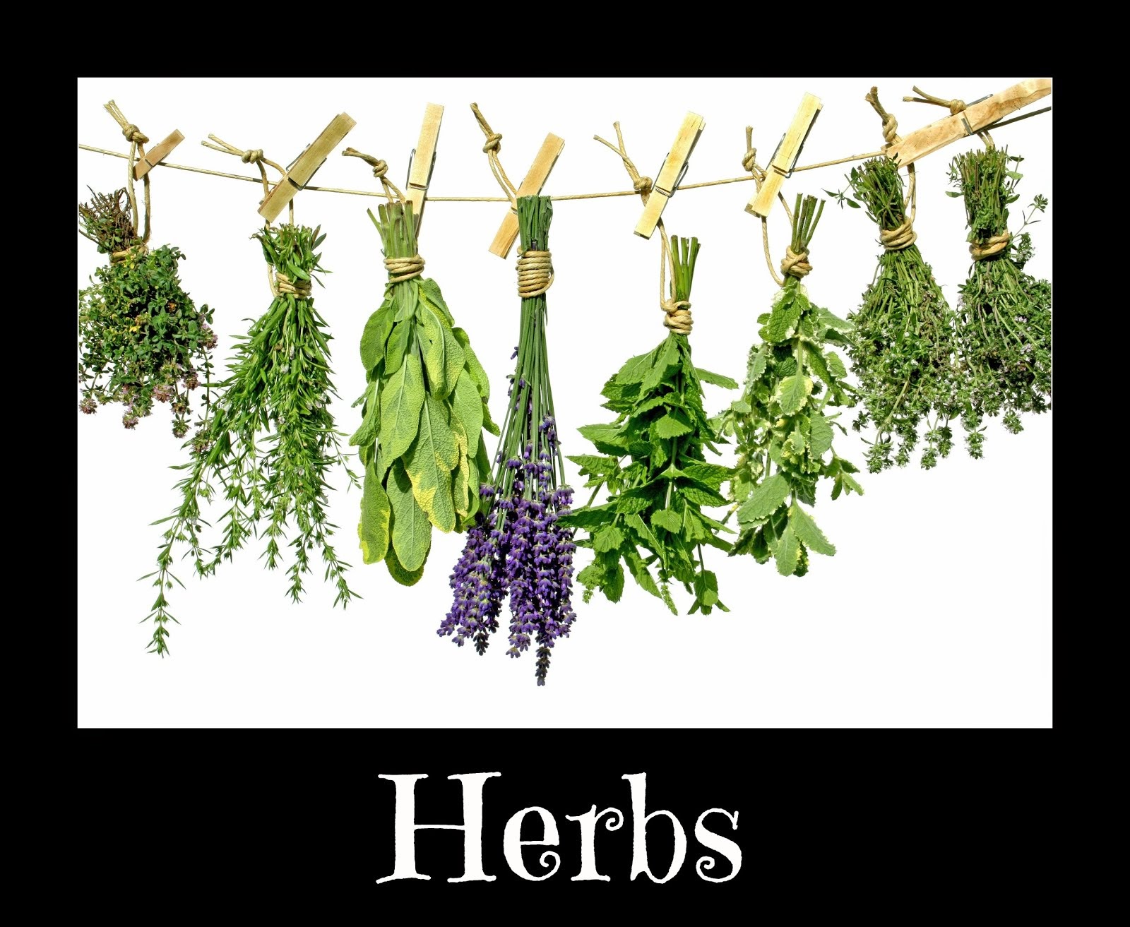 Herbs & Herbal Remedies
