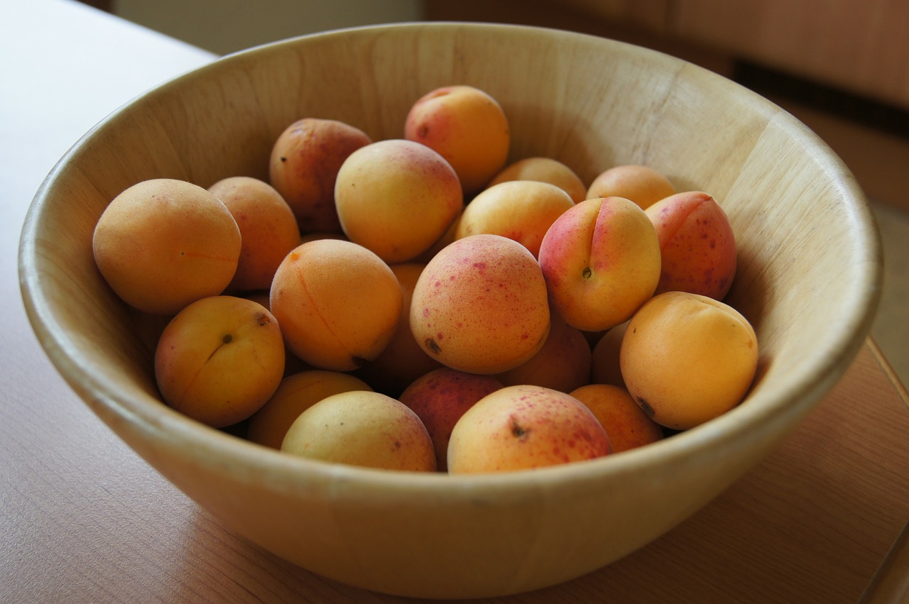 A Wise Woman Builds Her Home Fresh & Healthy Apricot Sorbet
