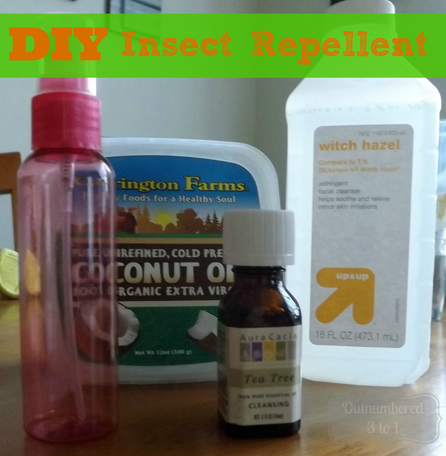 How to Make DIY Insect Repellent Outnumbered 3 to 1