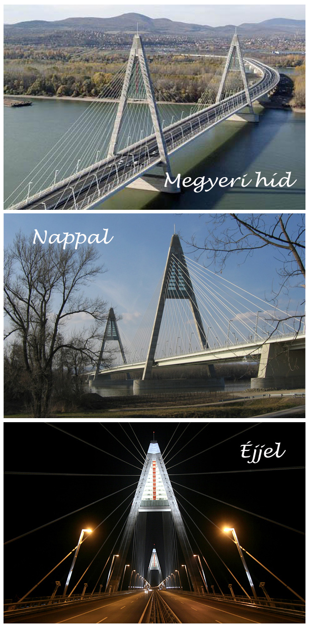 Kép