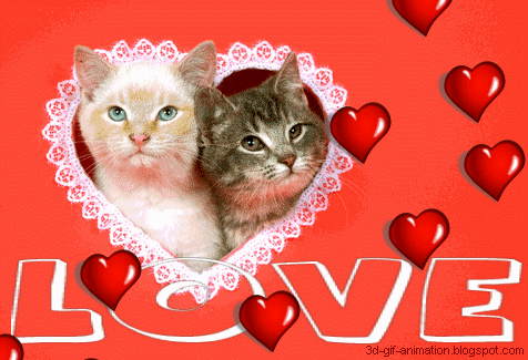 3D Gif Animations - Free download i love you images photo background  screensaver e-cards: 3d gif animation blogspot free download background  mobile screensaver photographic arts pictures gif ecards...... Cats in Love  Animated