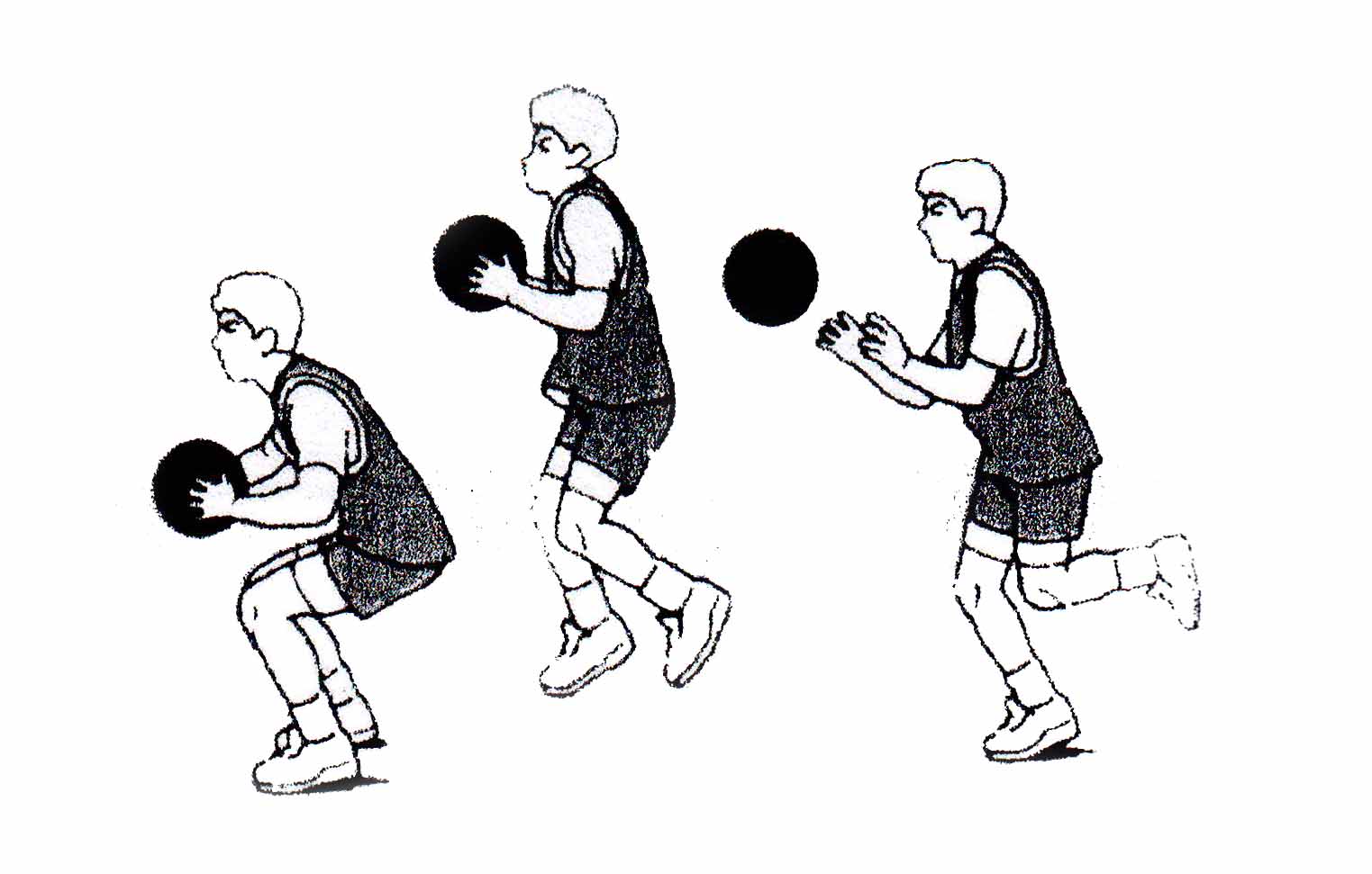 GERAK DASAR ( BASIC MOTION ) DALAM PERMAINAN BOLA BASKET DIECOACH