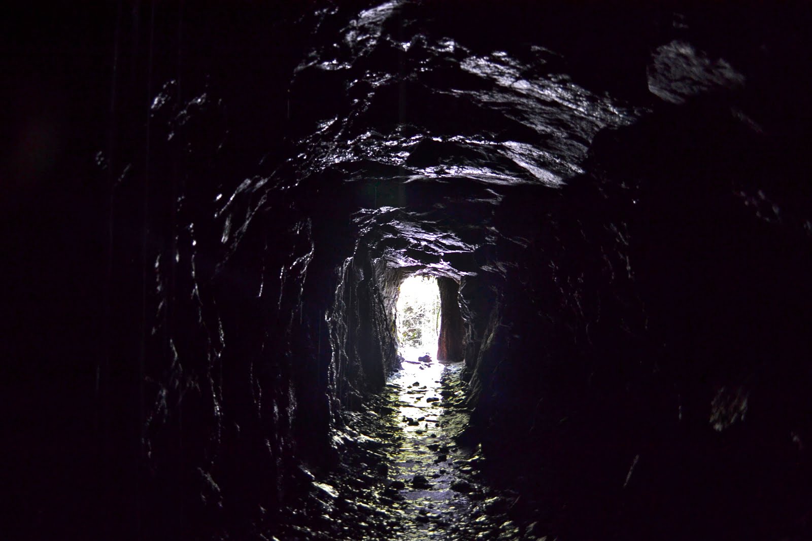 Foto bij 09 � Small thanks for one's pains