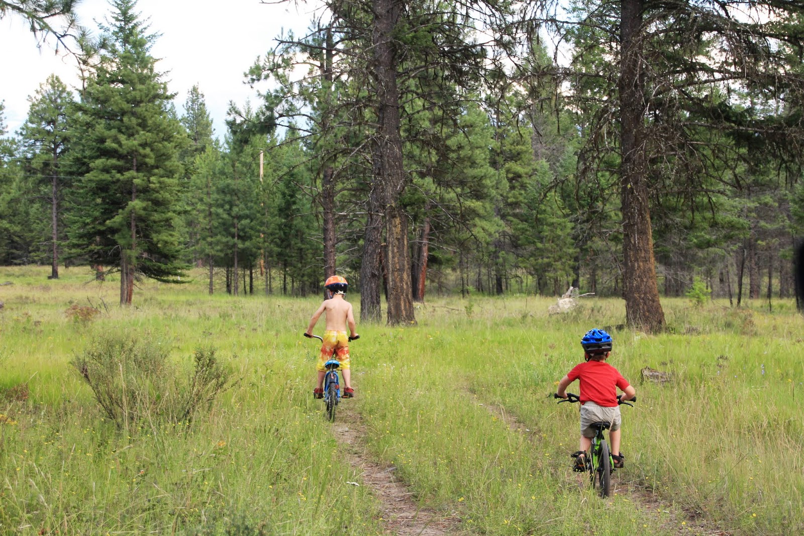 Family Adventures in the Canadian Rockies Camping in British Columbia