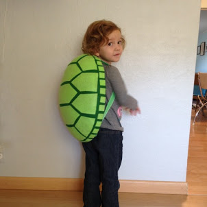 The Almost Perfectionist: Homemade Turtle Costume