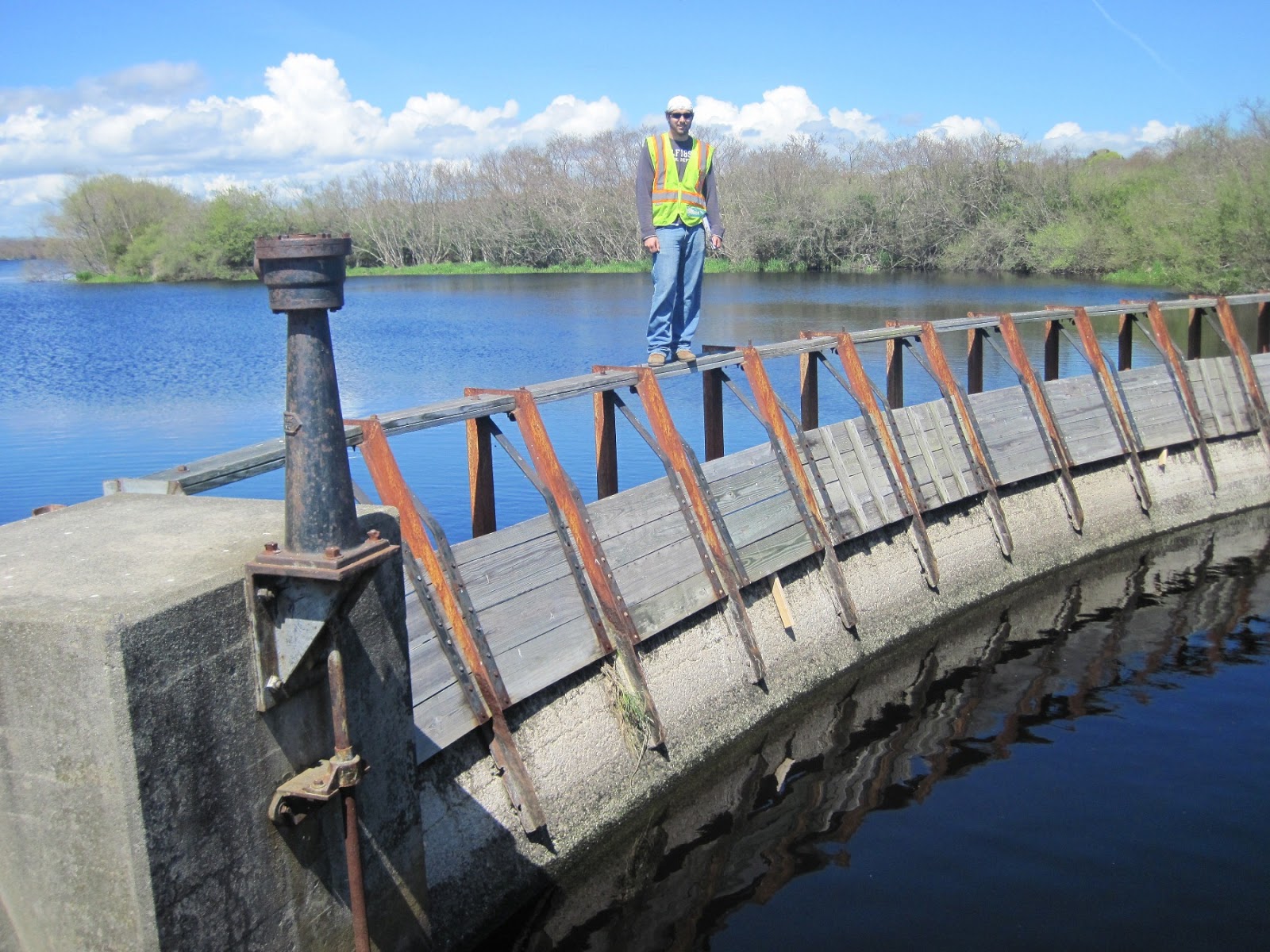 Always Civil Concrete Encased Steel Beams