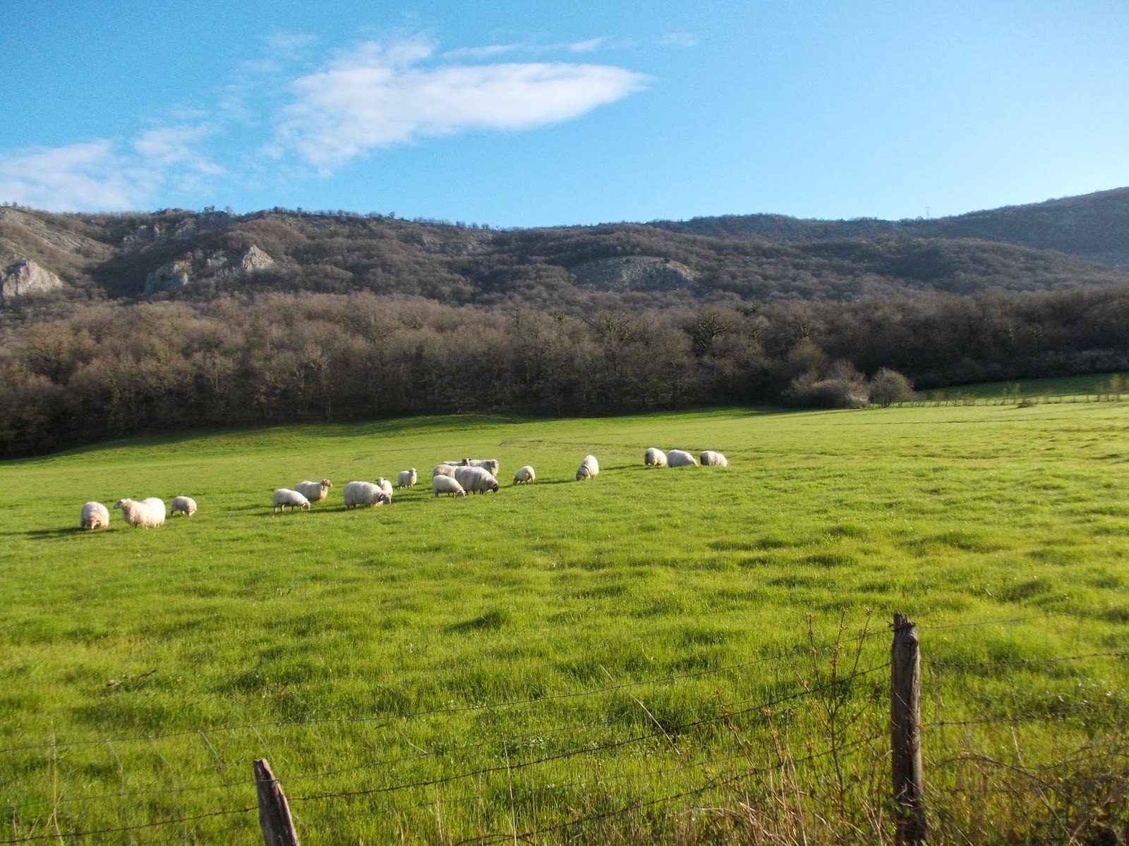 Tiempo De Sidrerias Casa Rural Martinberika