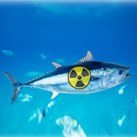 Fukushima θανατηφόρο επίπεδο ραδιενέργειας
