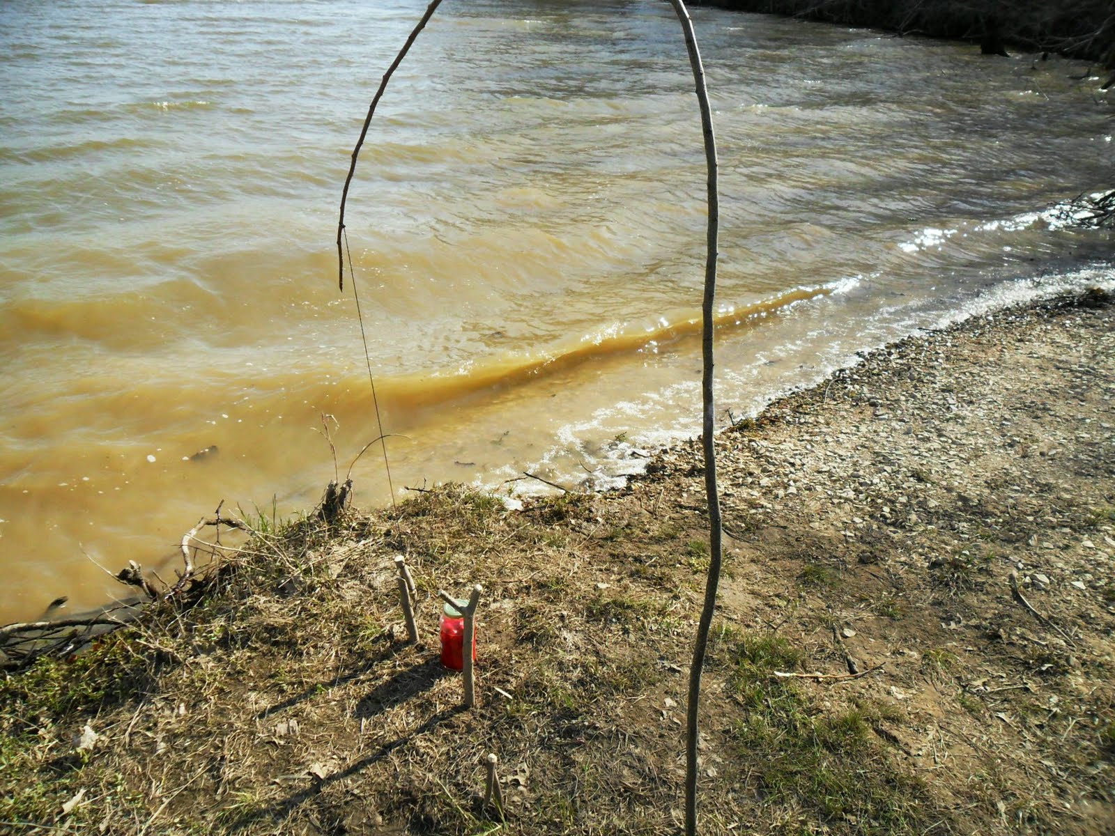 Bankline Fishing