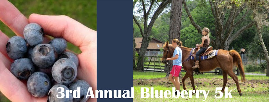 3rd Annual Blueberry 5K