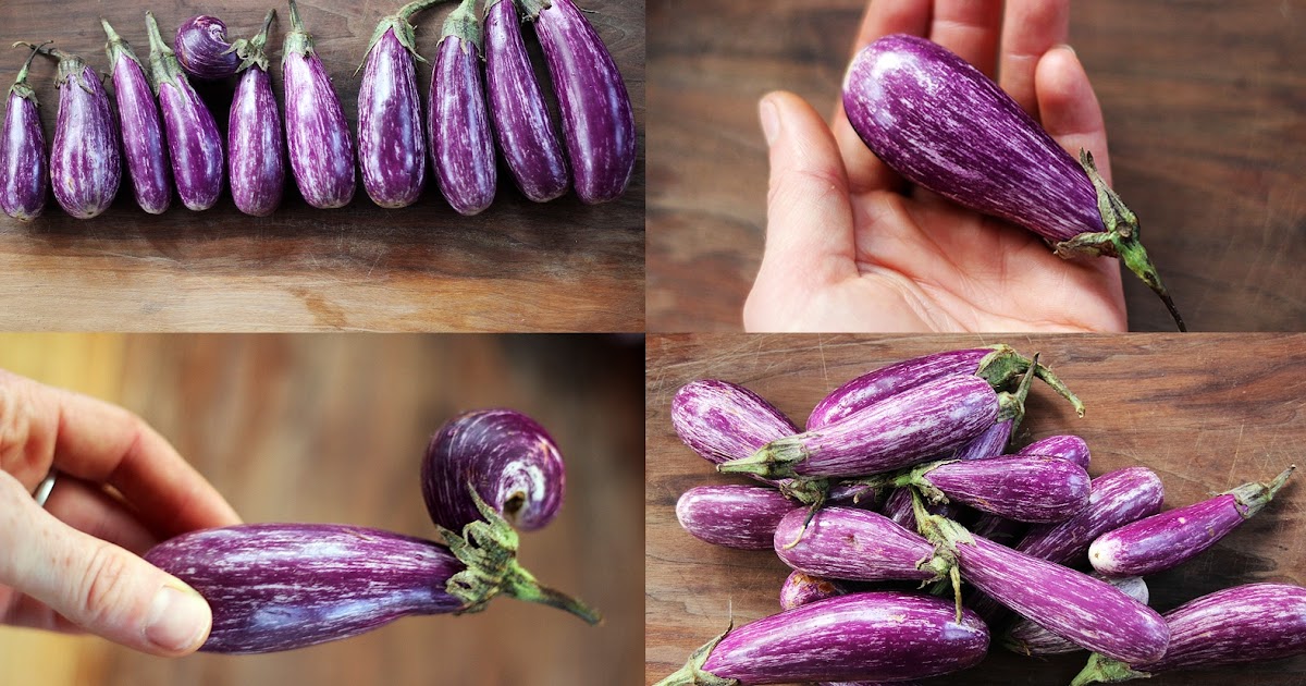 Kitchen by Aubergine Les aubergines...