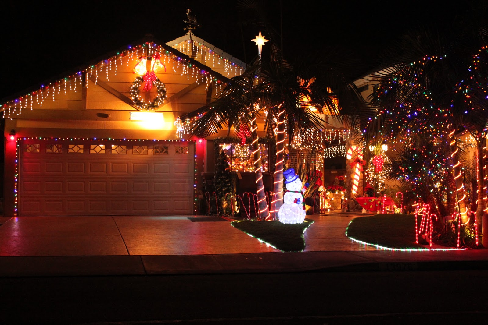 Shades of Gray Christmas Lights