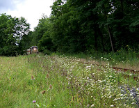 Cuyahoga Valley Scenic Railroad