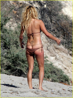 Pamela Anderson in Bikini Photos - Pamela Anderson Wallpapers