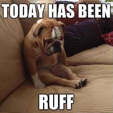 dog-today-has-been-ruff.jpg