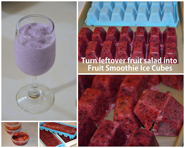 Journey to a Healthier Me Fruit Smoothie Ice Cubes