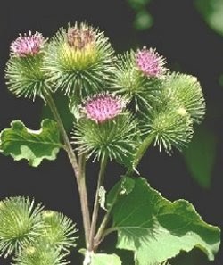 Reiki Pentru Oameni Ocupati Spondiloza Lombara Si Cervicala