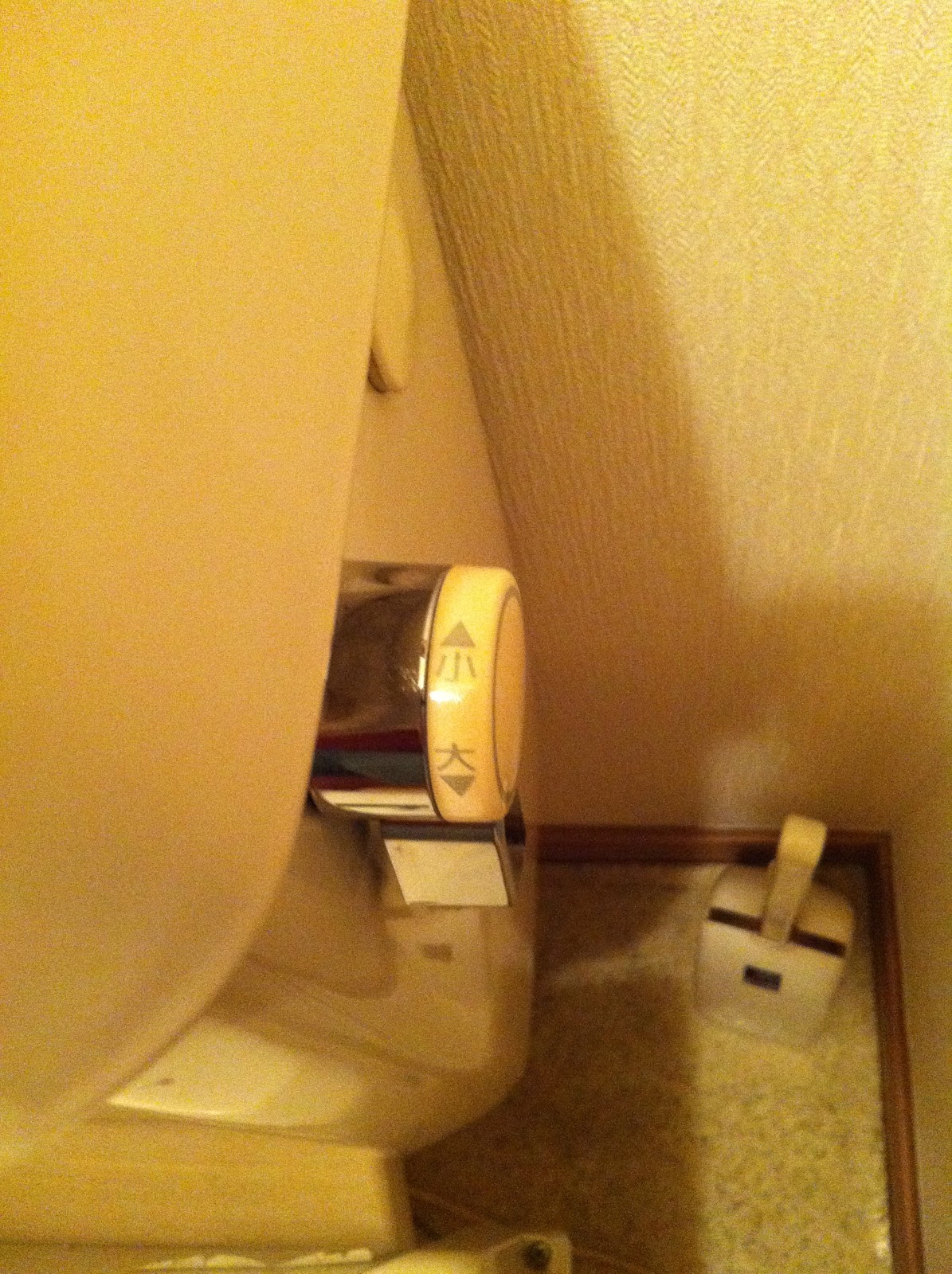 The Polikaitis Family The Amazing Japanese Toilet (and Toilet Paper