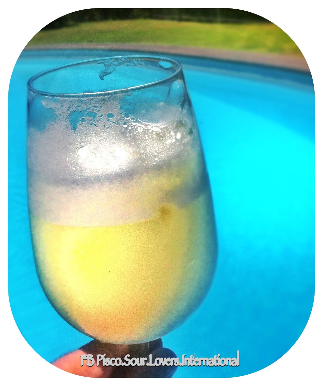 Pisco Sour Lover: Limon con cascara y todo Pisco Sour Lover: Limon con cascara y todo