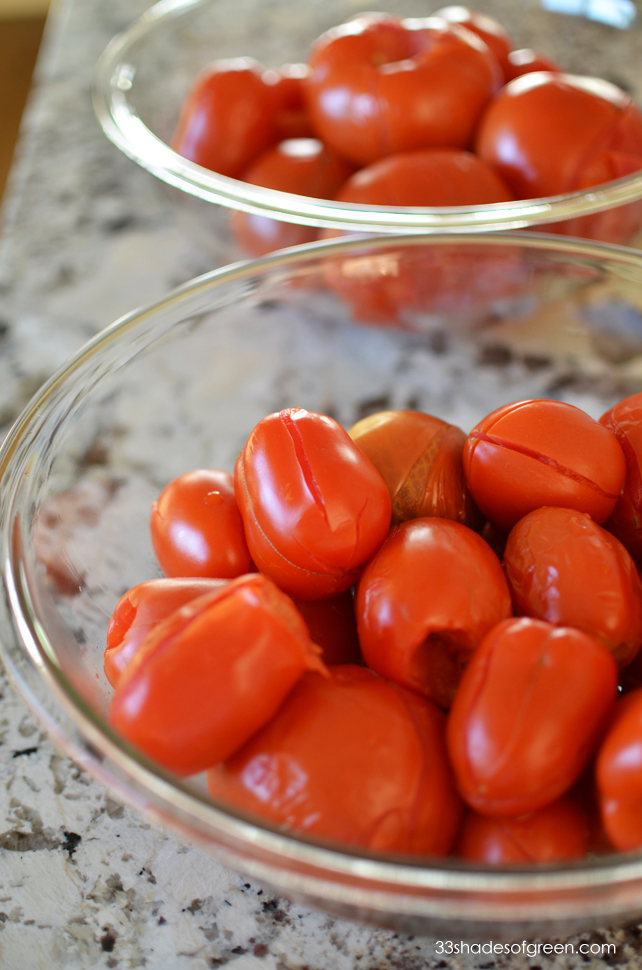 33 Shades of Green How to Freeze Tomatoes The Easy Way!