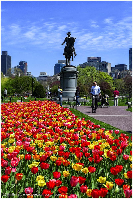 Clueless in Boston April 2013