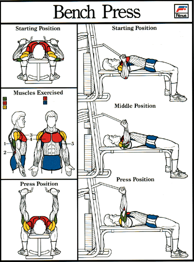 Osteopata Y Entrenador Personal En Barcelona Osteopathy And
