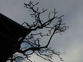 Worcester College Gardeners 2009 2018 A Cold And Windy Spot