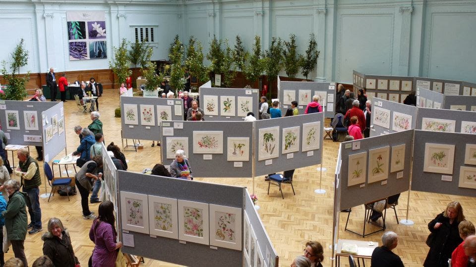 Inky Leaves Popping up in the London RHS show April 2014