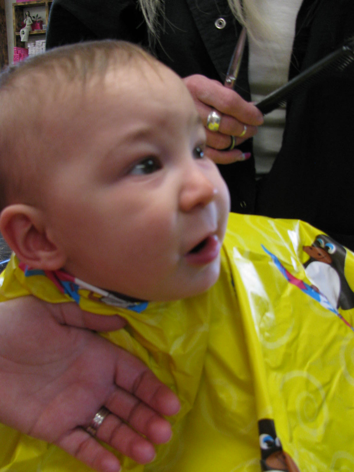 William Haircut