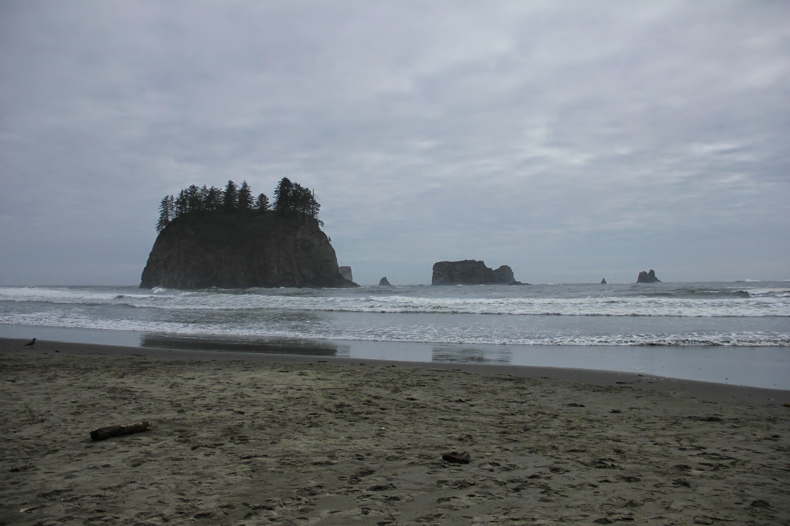 Une fois l'Amérique Forks & La Push (spécial Twilight), Washington, USA