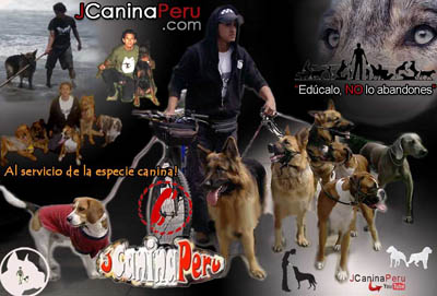 ADIESTRADOR CANINO