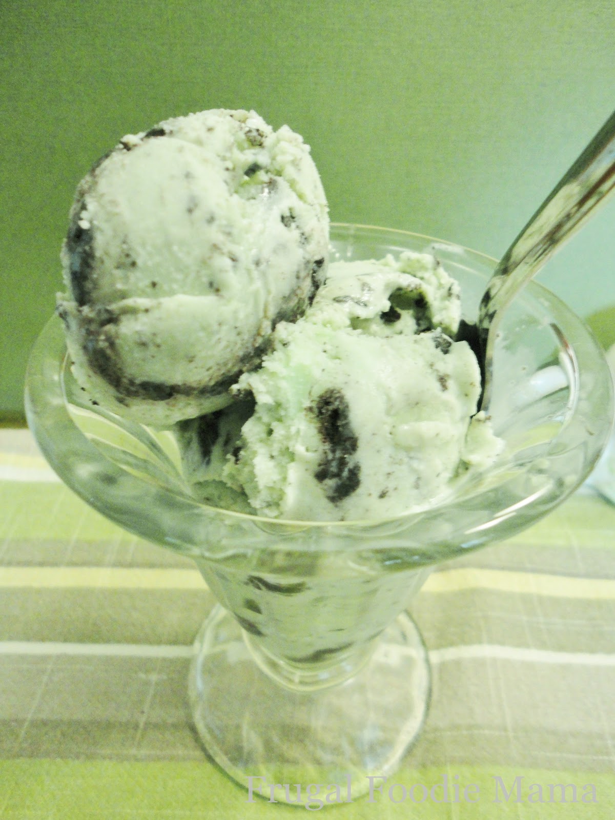 Frugal Foodie Mama Mint Cookies & Cream Ice Cream
