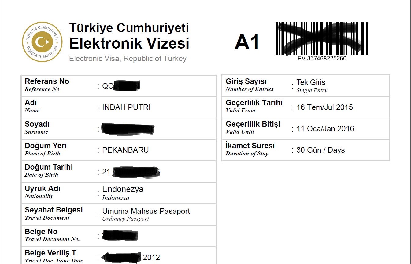 Catatan Ardi's Family 3 Langkah Cepat Dan Mudah Membuat eVisa Ke