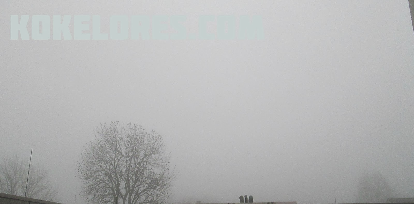 Klarchen Nebelmorgen