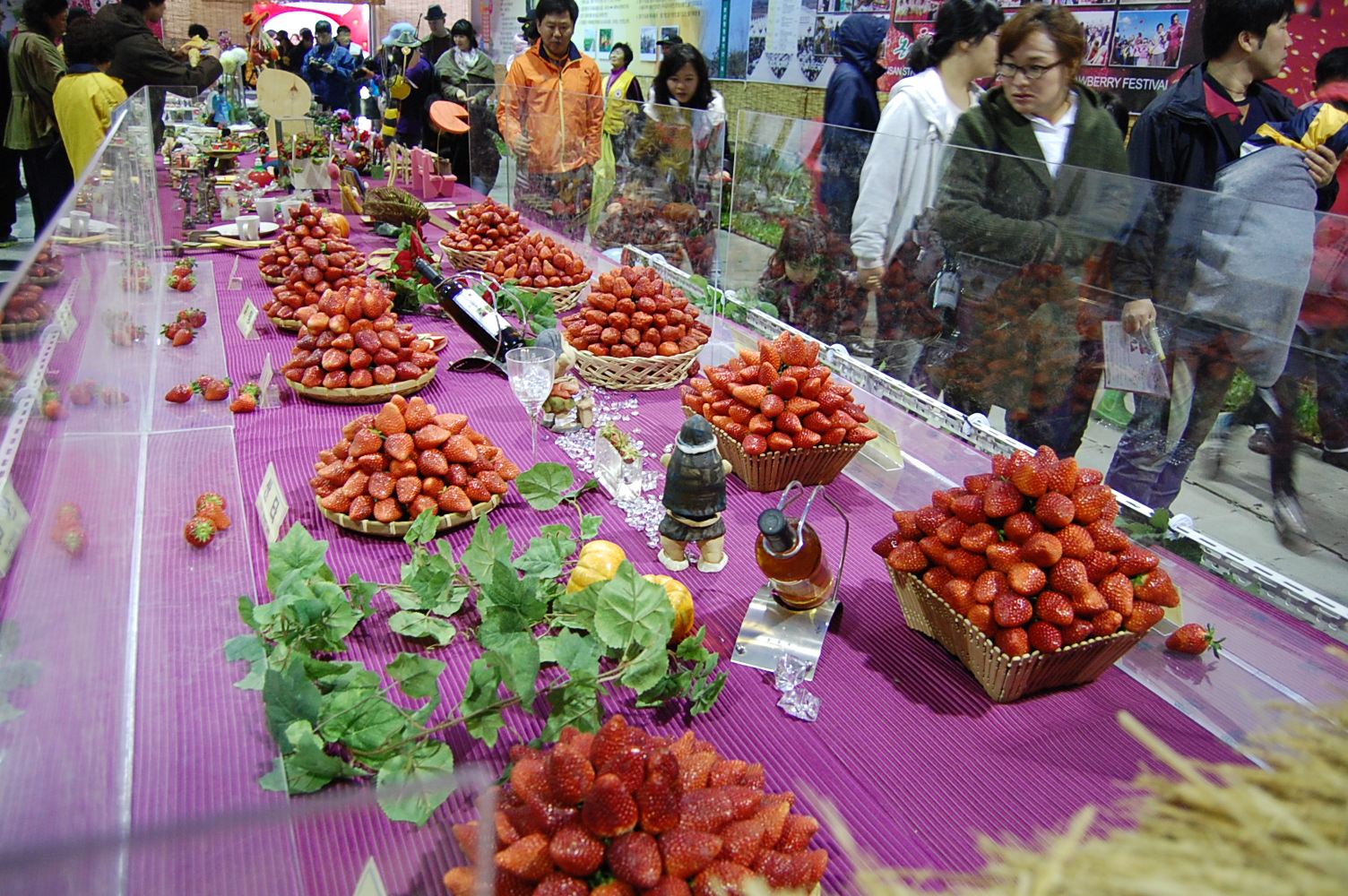 Pilgrim with a Passport Nonsan Strawberry Festival