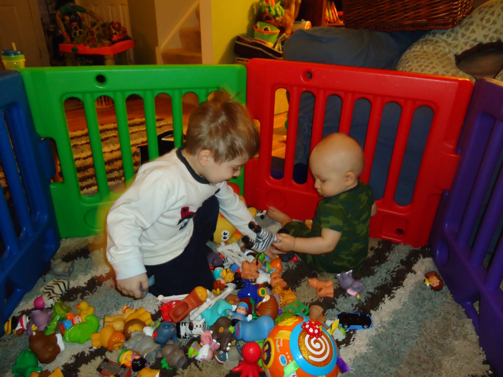 C'est La Vie The baby cage is BACK.