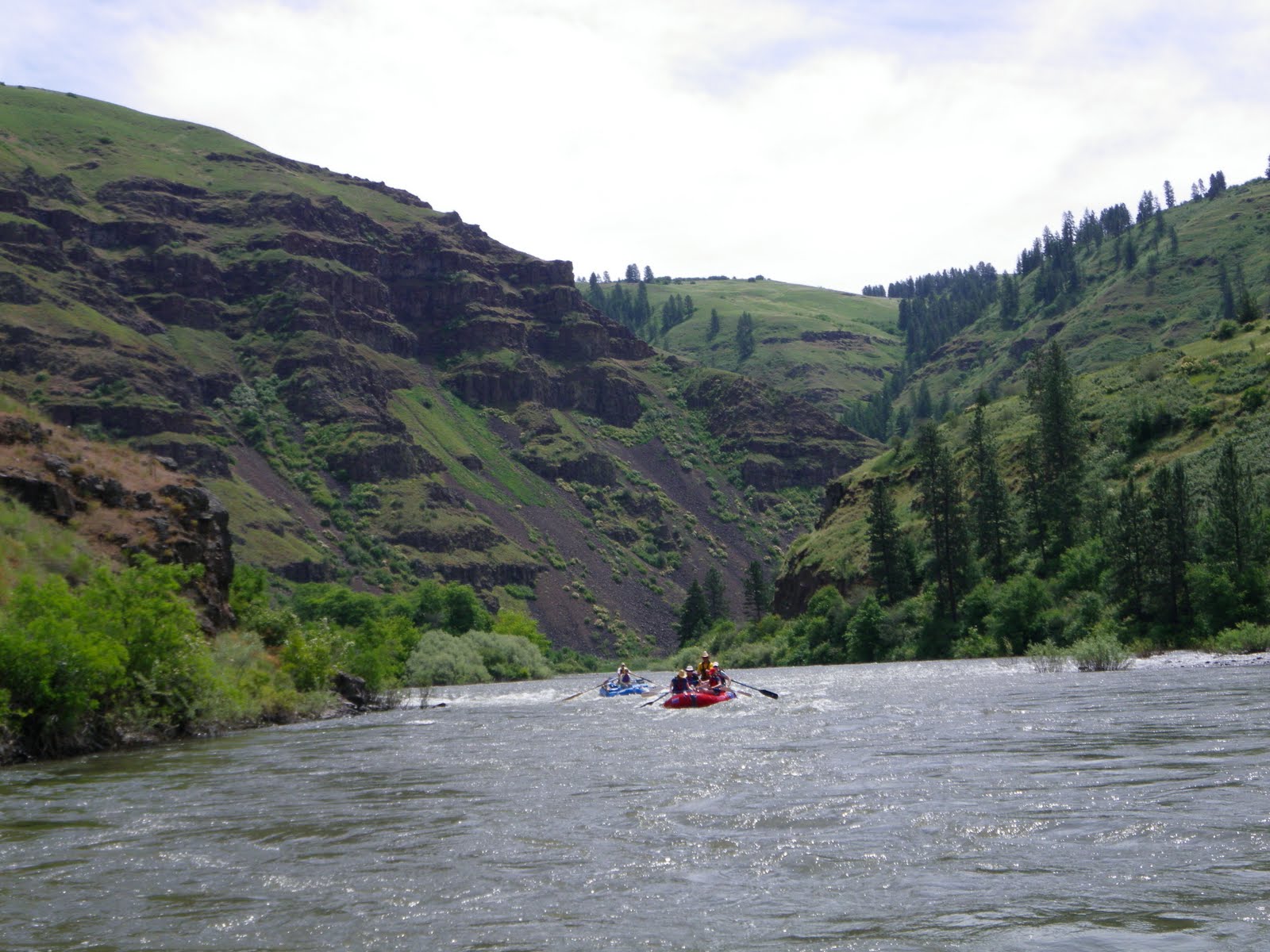 Moose and stoneflies on the Grande Ronde Winding Waters River Expeditions