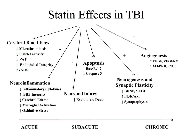 Epiphany Praise the Lord and pass the Statins Part 1