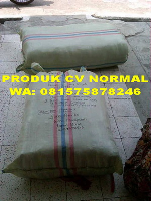 BUKTI PENGIRIMAN CV NORMAL KE PEMBELI