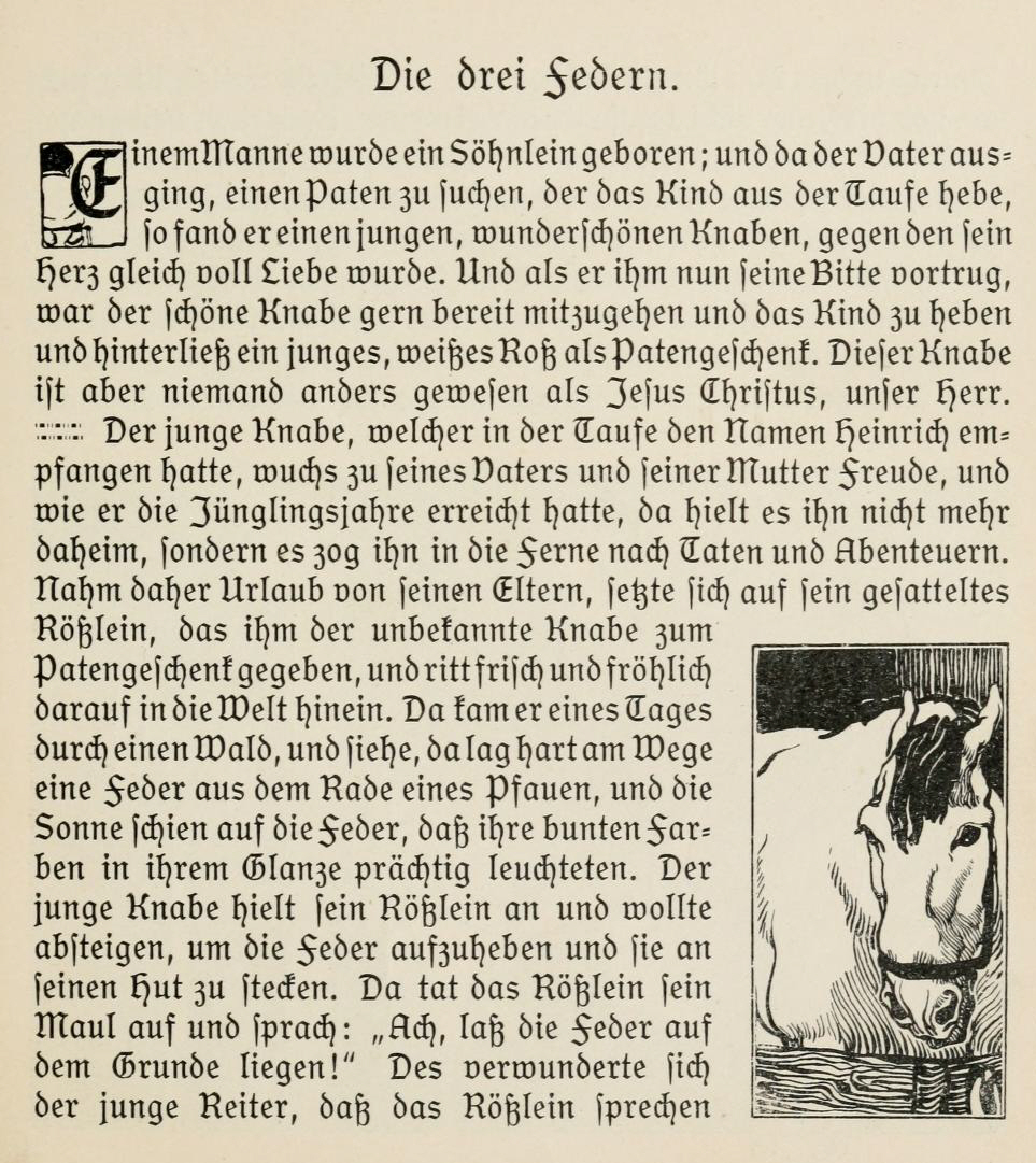 Aap Volltextsuche