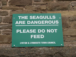 Beware of seagulls