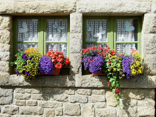 flores+na+janela+-+catarina+regina2.jpg
